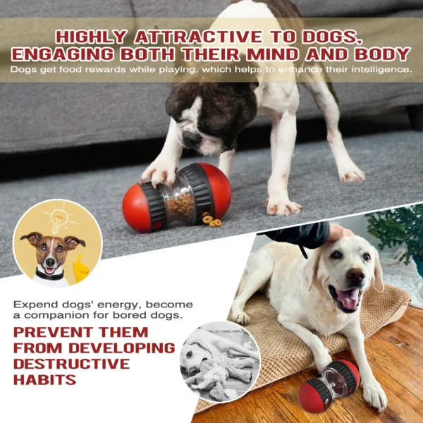 Dog Funnel Ball Toy 4
