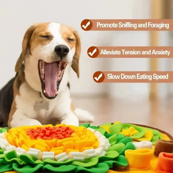 Sniff Mat for Dogs 5