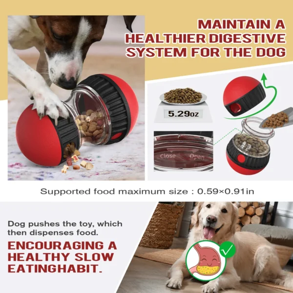 Dog Funnel Ball Toy 5